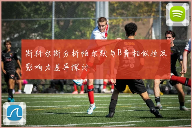斯科尔斯分析帕尔默与B费相似性及影响力差异探讨